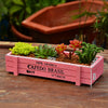 Grocery Desktop Distressed Long Strip Wooden Storage Box Succulent Potted Letter Box Flower Device