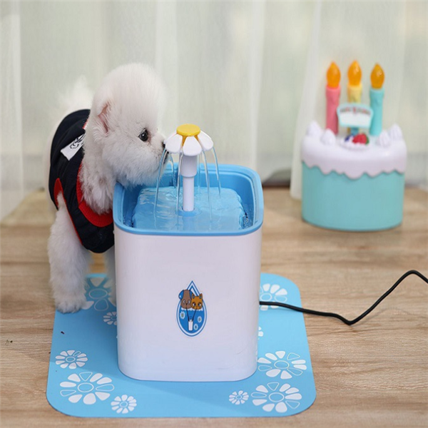 Automatic water dispenser