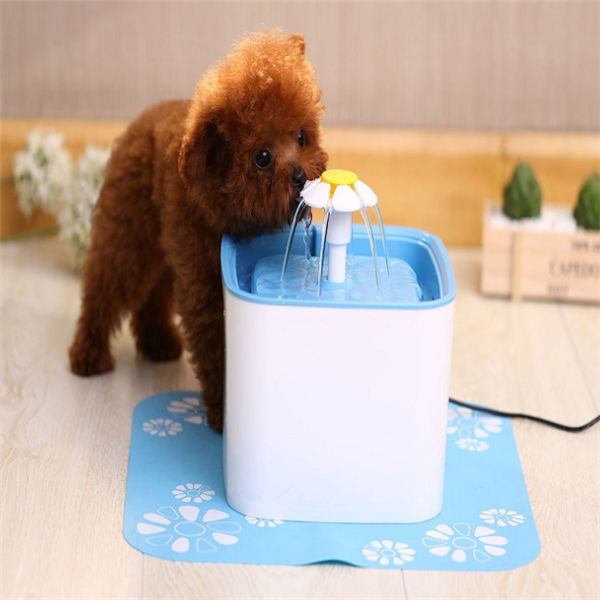 Automatic water dispenser