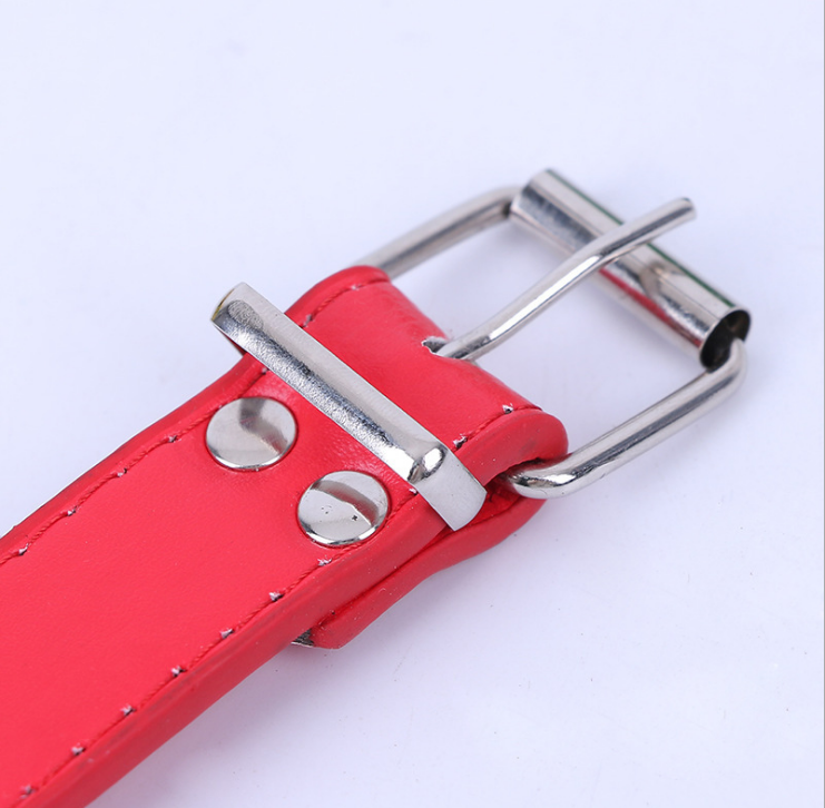 Pet supplies outdoor stainless steel dog PU collar New dog collar