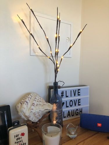 20LED Twigs Light String Decoration Living