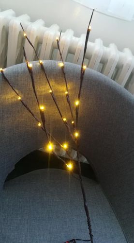 20LED Twigs Light String Decoration Living