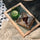 Fashionable Household Style Gourmet Photo Props Glass Tray